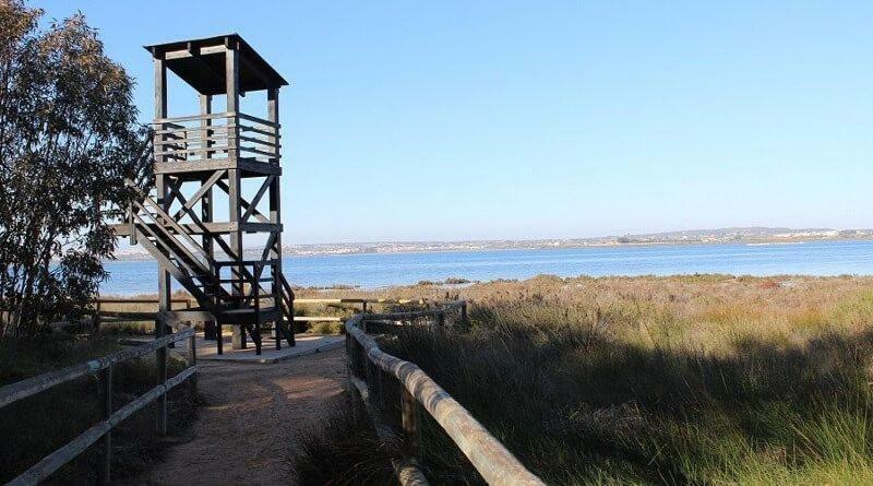 Apartamento Vistas La Mata Playa 외부 사진